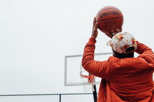 LeyuSports-篮球运动员专项技能训练计划设计，篮球专项技术训练要点