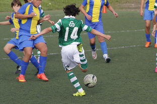 乐鱼体育平台官网-体育纪录片内容更加丰富，体育纪录片主题