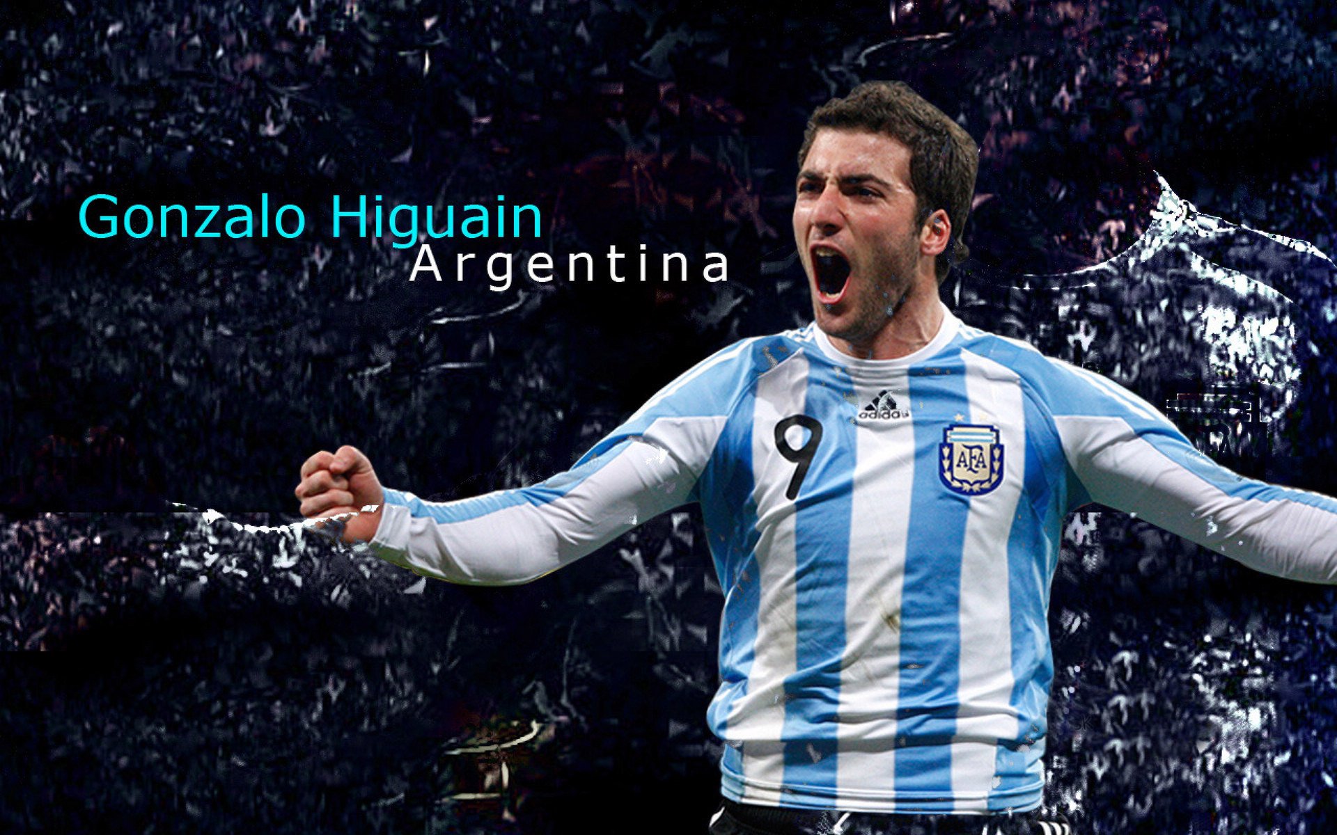 热火外援采访称爱上海内外球迷文化,热火队视频