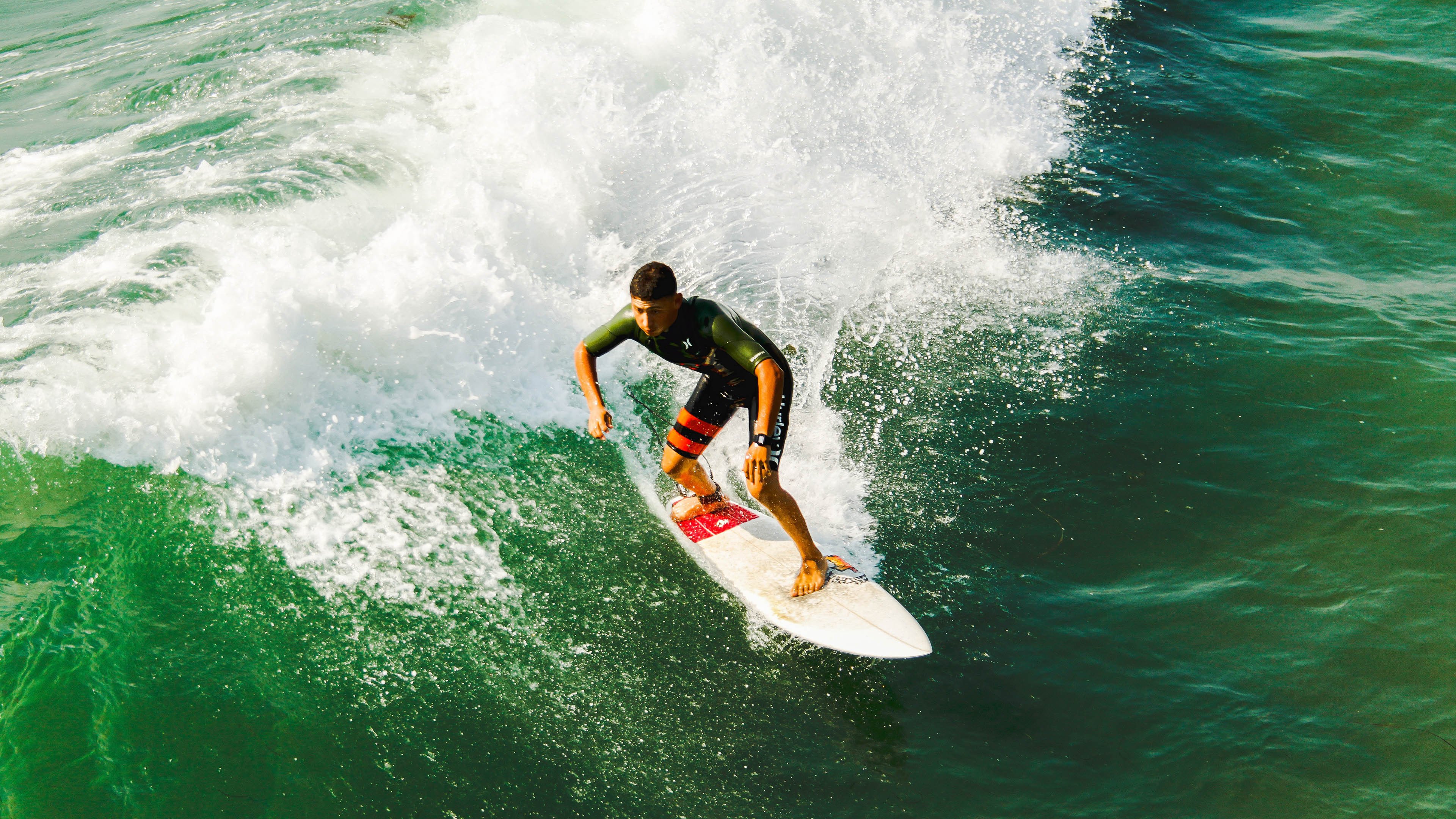 世界杯：宠物店推出“看球狗狗寄养+足球玩具”套餐 受到年轻球迷欢迎