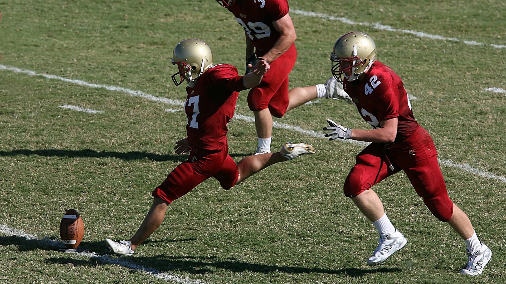 世界杯：宠物店推出“看球狗狗寄养+足球玩具”套餐 受到年轻球迷欢迎